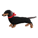 Dachshund