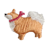 Pomeranian