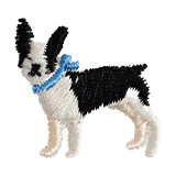 Boston Terrier