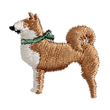 Shiba